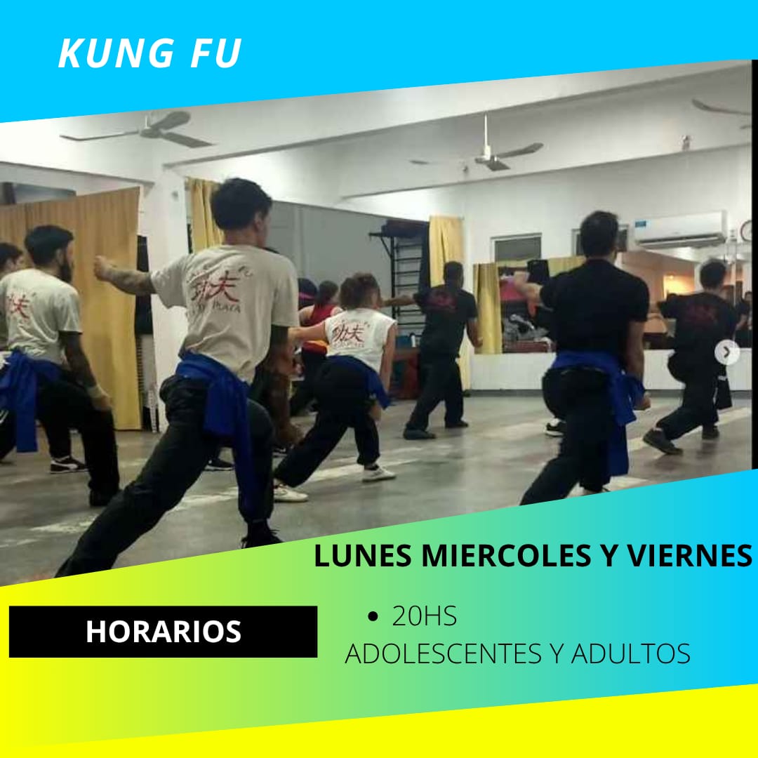 Kung Fu en ALMA Mar del Plata